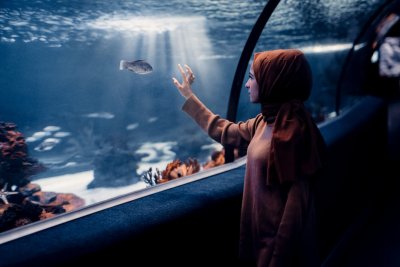 Remarkably Bright Creatures op Netflix is hartbrekend goed